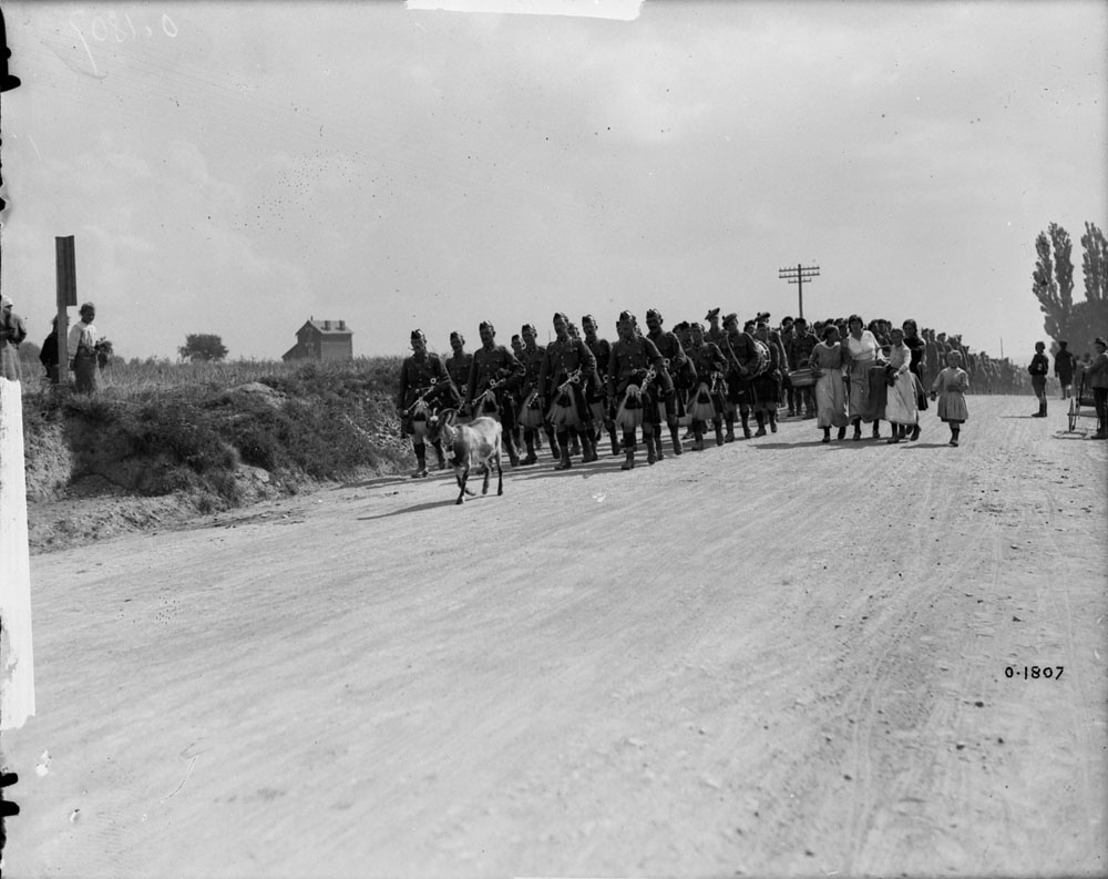 13th Bn. going out to rest after Hill 70, led by their Pipers and goat, Hersin-Coupigny 20 August 1917. The goat is Flora Stewart. She died in Wallers France,in 1918. The town commemorated her and the regiment showed up. Her horns and collar remain to this day in the band room. MIKAN No. 3406011