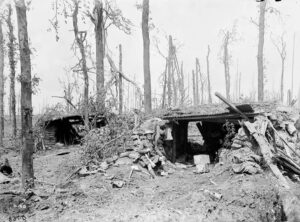 Battle of Mount Sorrel. Emplacement of two forward guns in Sanctuary Wood, captured by Germans and recaptured by Canadians, 22 June 1616. Sergeant William Alexander, Shot at Dawn, was promoted for his actions in this battle. MIKAN No. 352091
