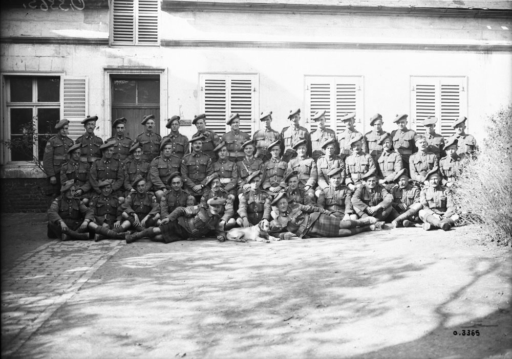 42nd battalion memorial pool