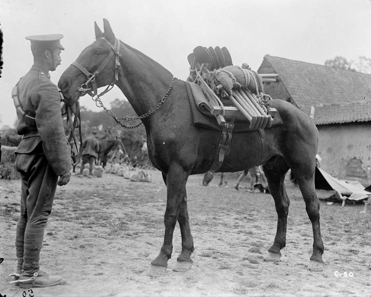 Private Ambrose Hancock in the Great War