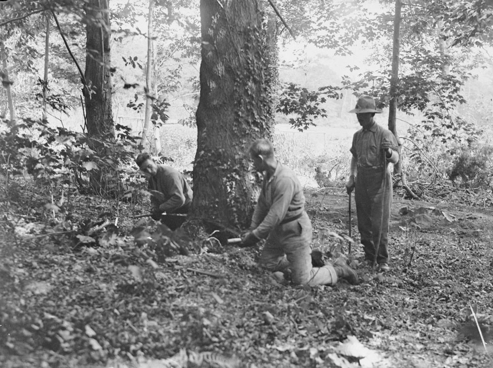 Private Vincent Zwingel in the Great War