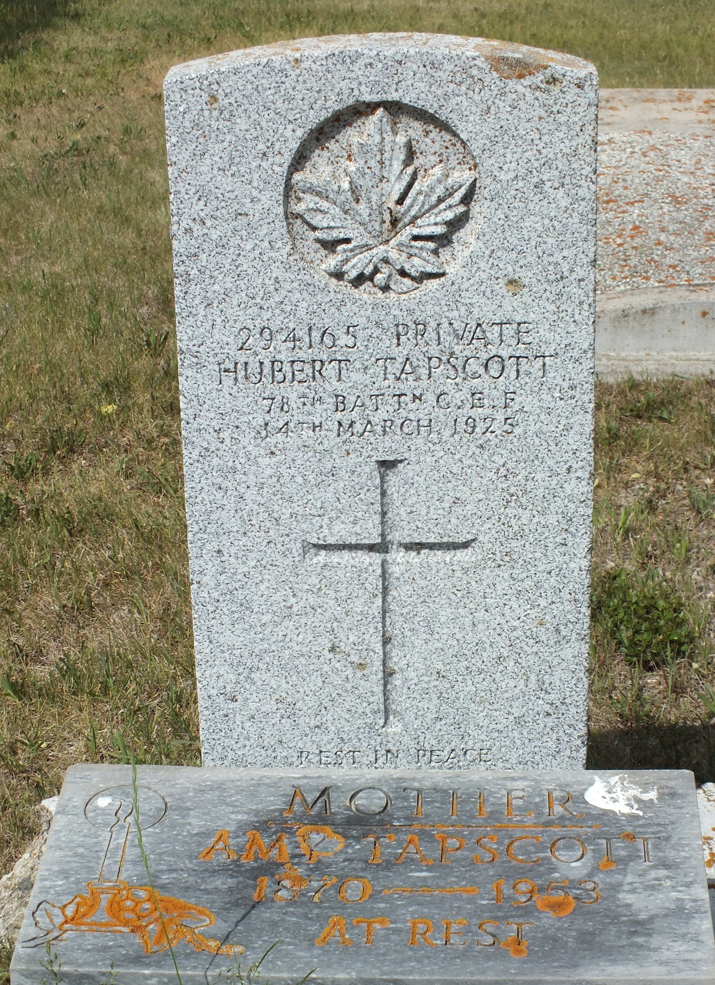 Private Hubert John Hamilton Tapscott 294165